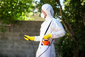 Side view of worker wearing protective suit using pesticide in b