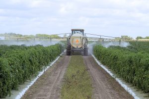 Spraying Pesticides - 1