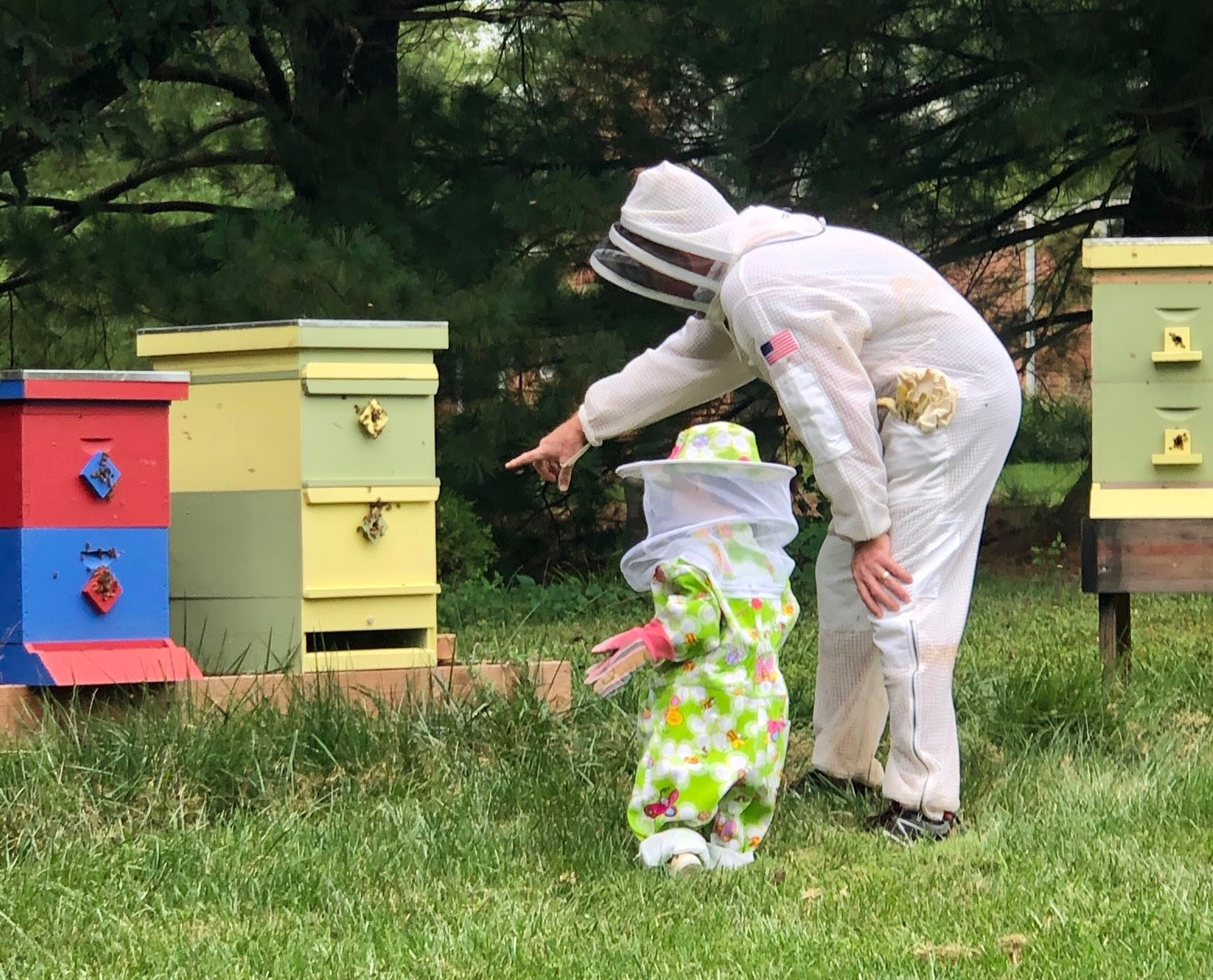 fall-beekeeping-honey-harvest