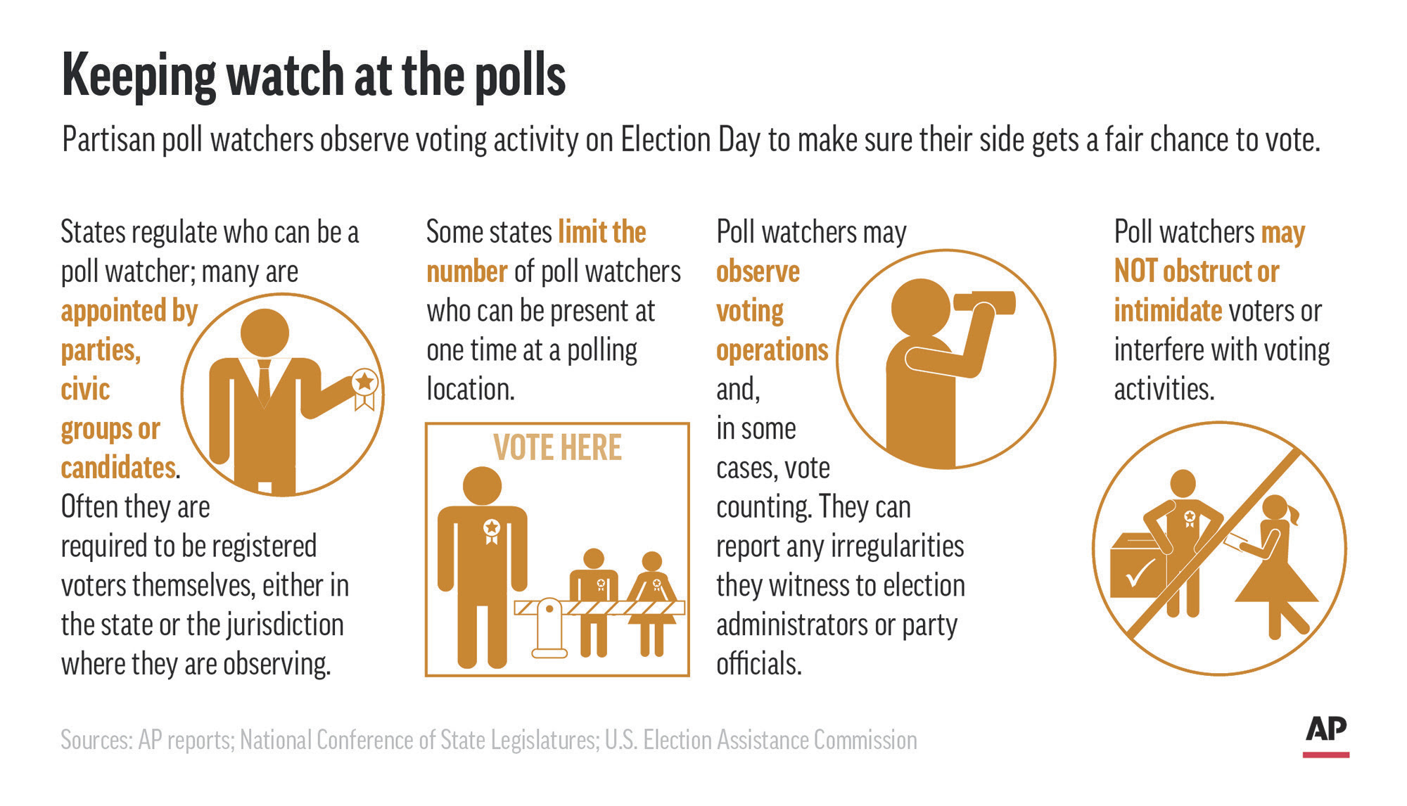 voting-polls-watcher-rules